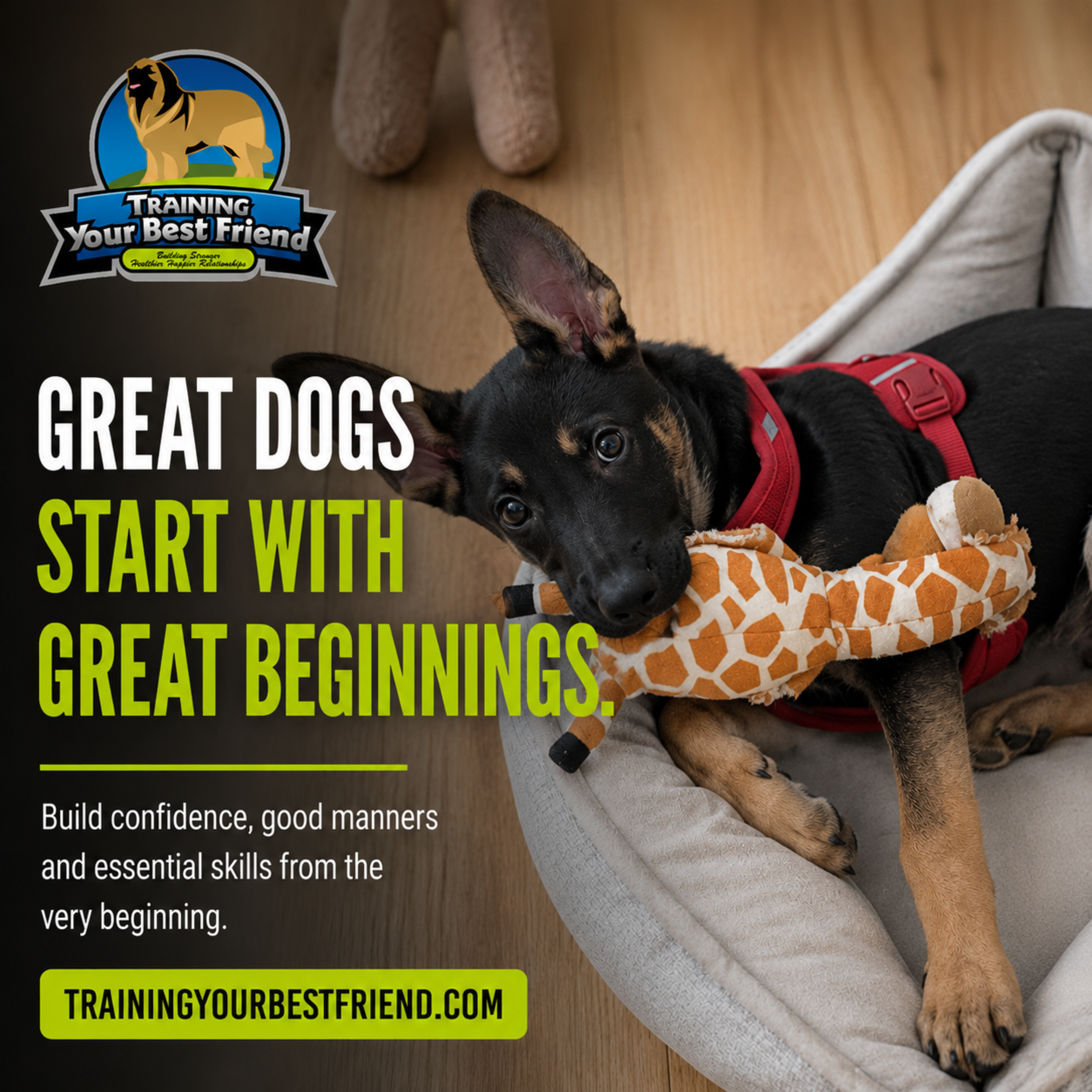 Sample social media graphic created by FastSocial.ai